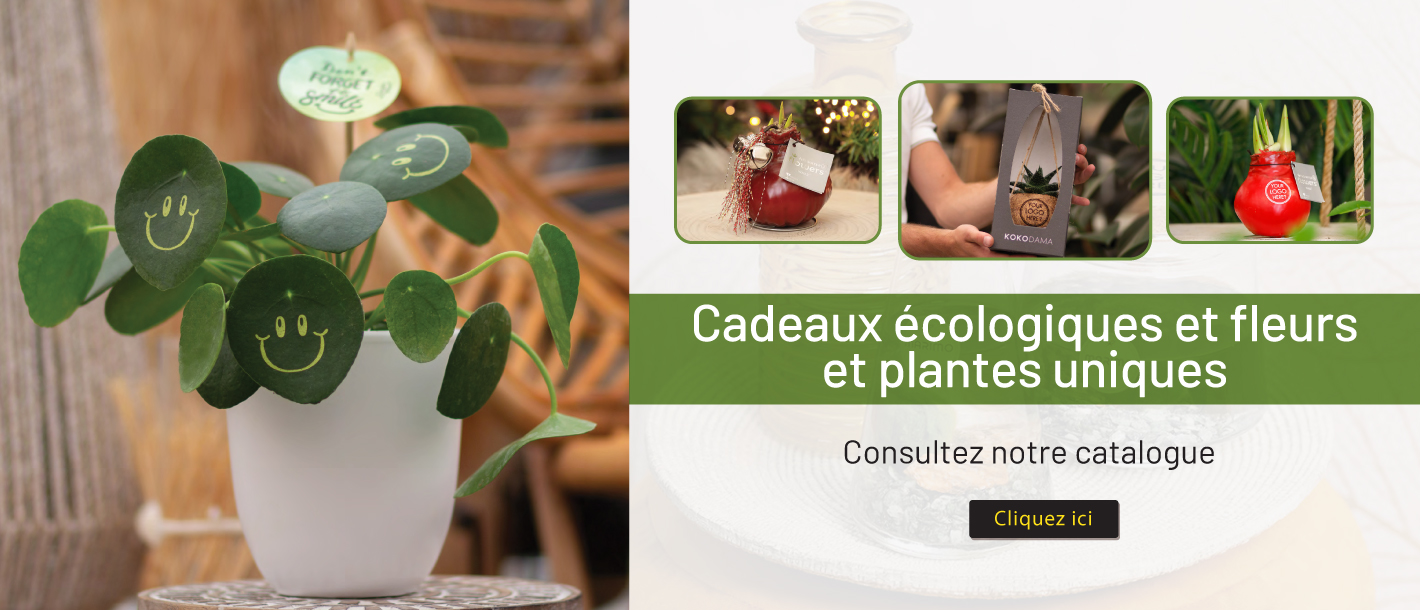wbs_promo_plants_update_fr.jpg