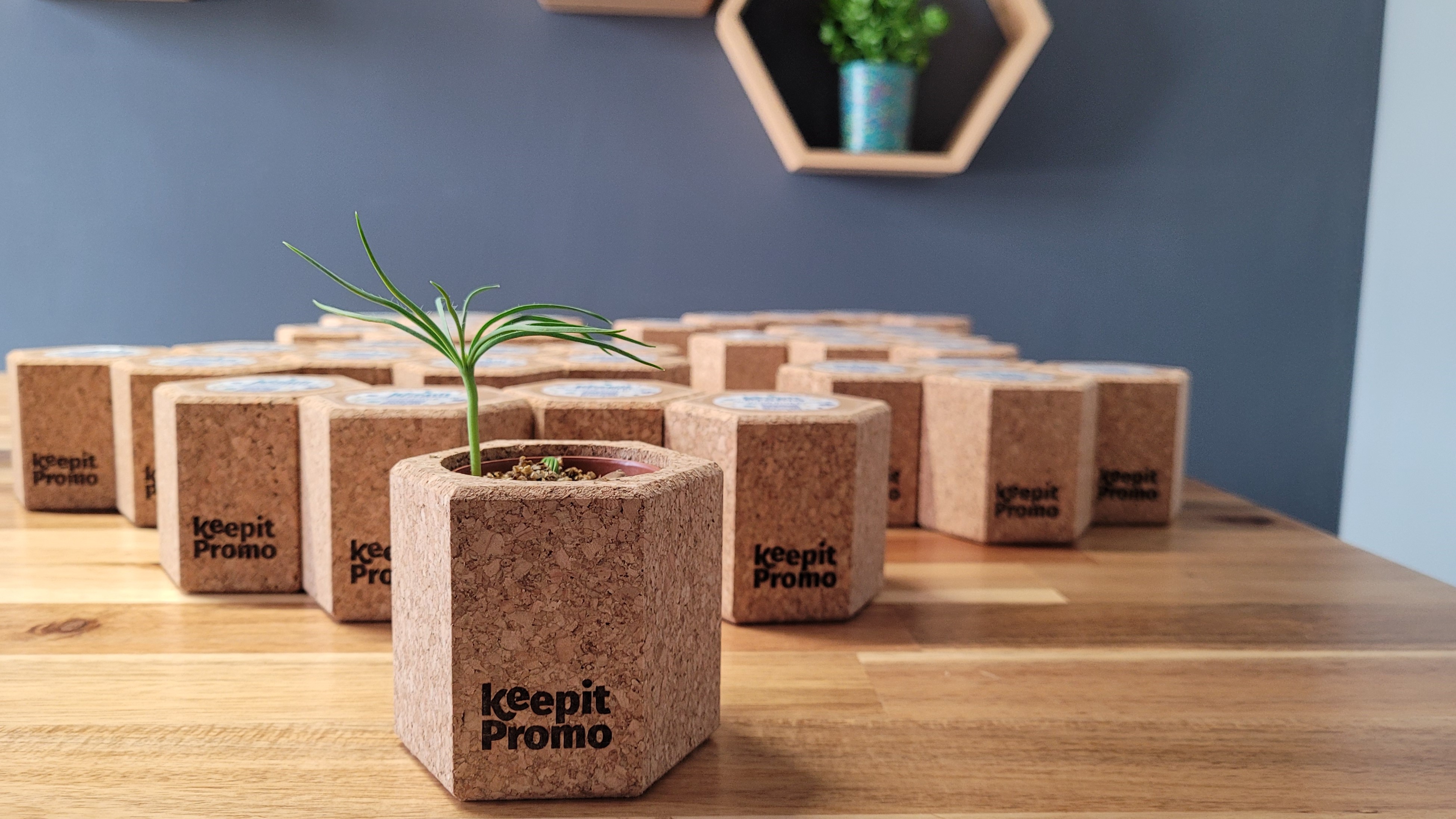 keepitpromo-pine-trees-gifts-sustainability-2022.jpg