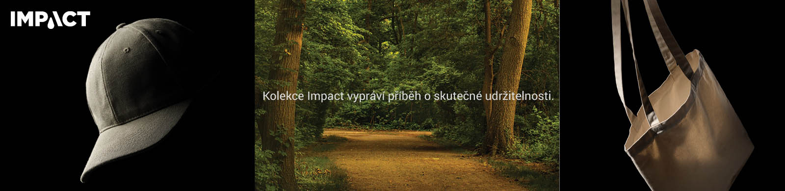 Banner_Impact-cz.jpg
