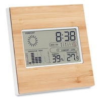 Weather Stations & Thermometers