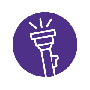 Flashlights & Torches