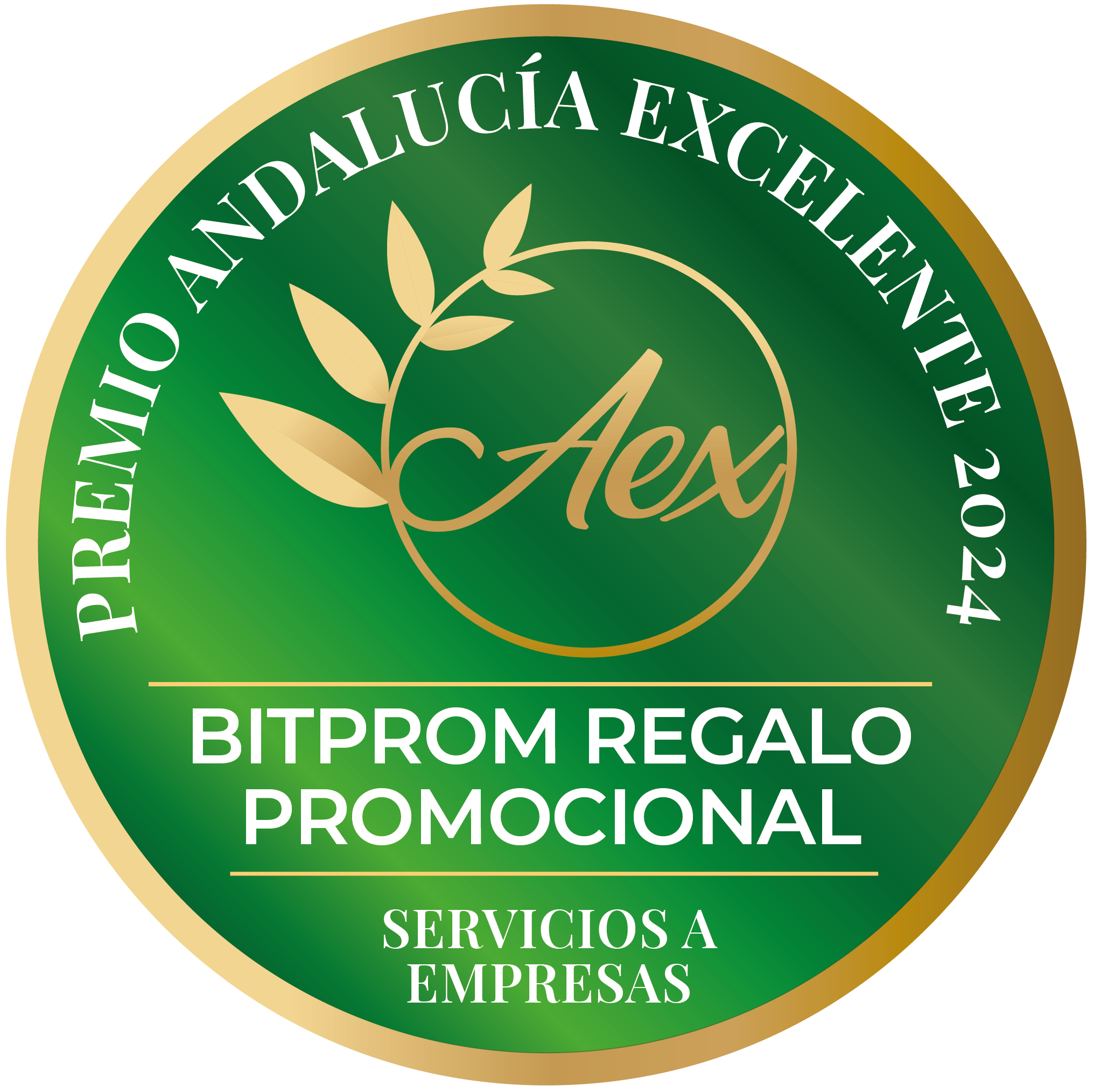 Andalucía Excelente 2024 Award