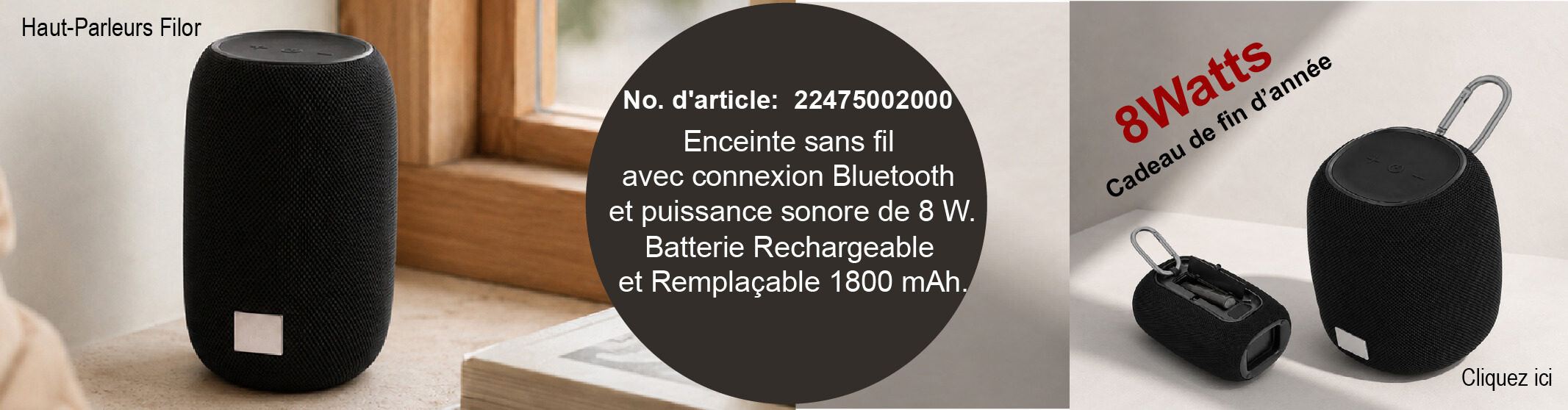 Enceinte 8 watts personnalisés avec votre logo un cadeau CSE pour noel pas cher.jpg