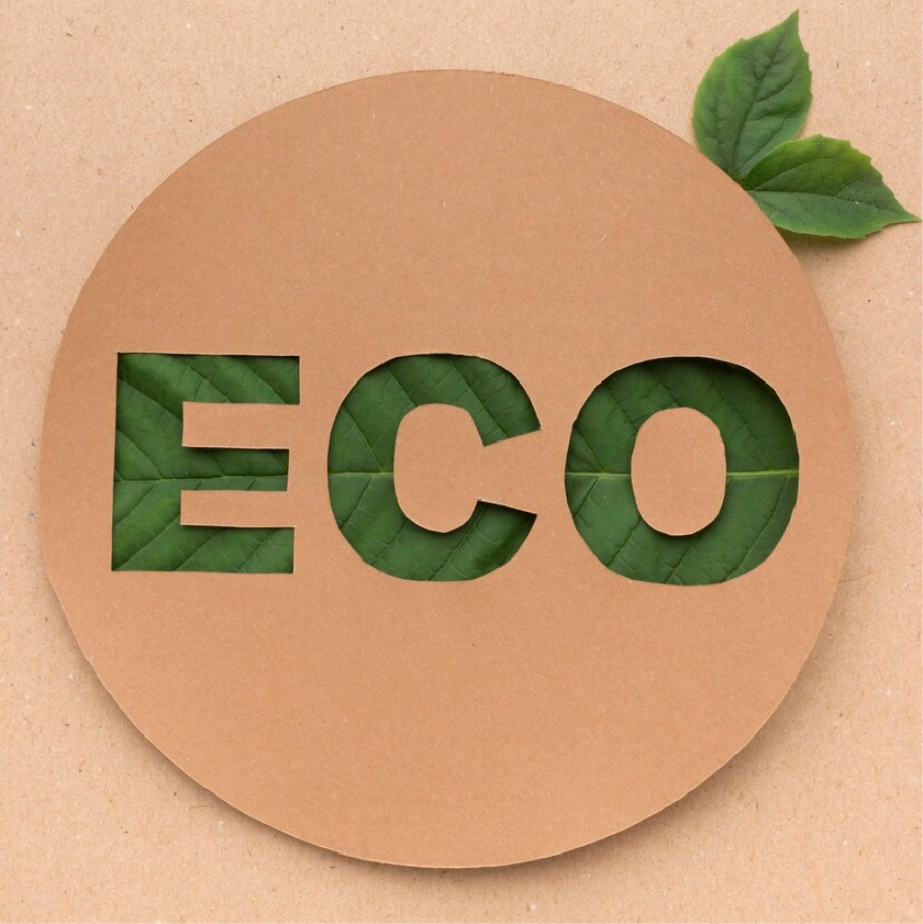 LOGO ÉCO.jpg