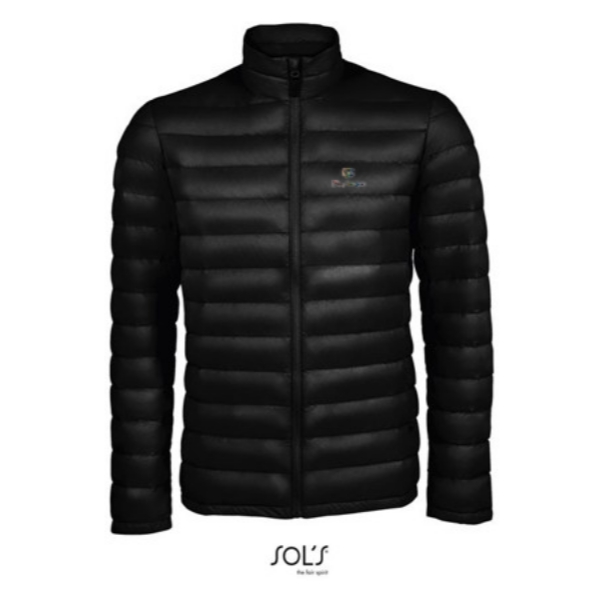 logo-visualization (68).png