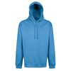 sweatshirt.jpg