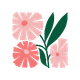 Kategória képek weboldal (3).png