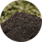 24.png