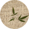 30.png
