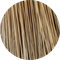 23.png