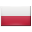 Polish Zloty