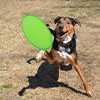 Frisbee
