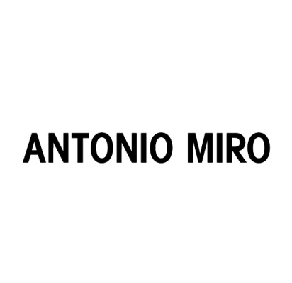 Antoniomiro2.jpg