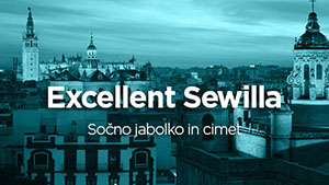 sewilla_small.jpg