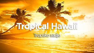 tropical_small.jpg