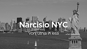 nyc_small.jpg