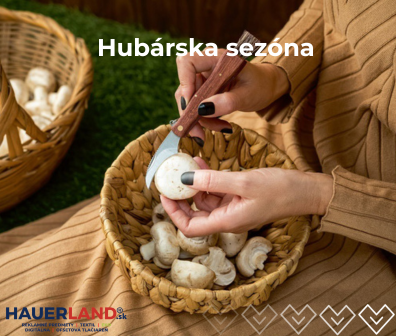 Hubárska sezóna.png
