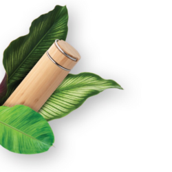 drinkware.png