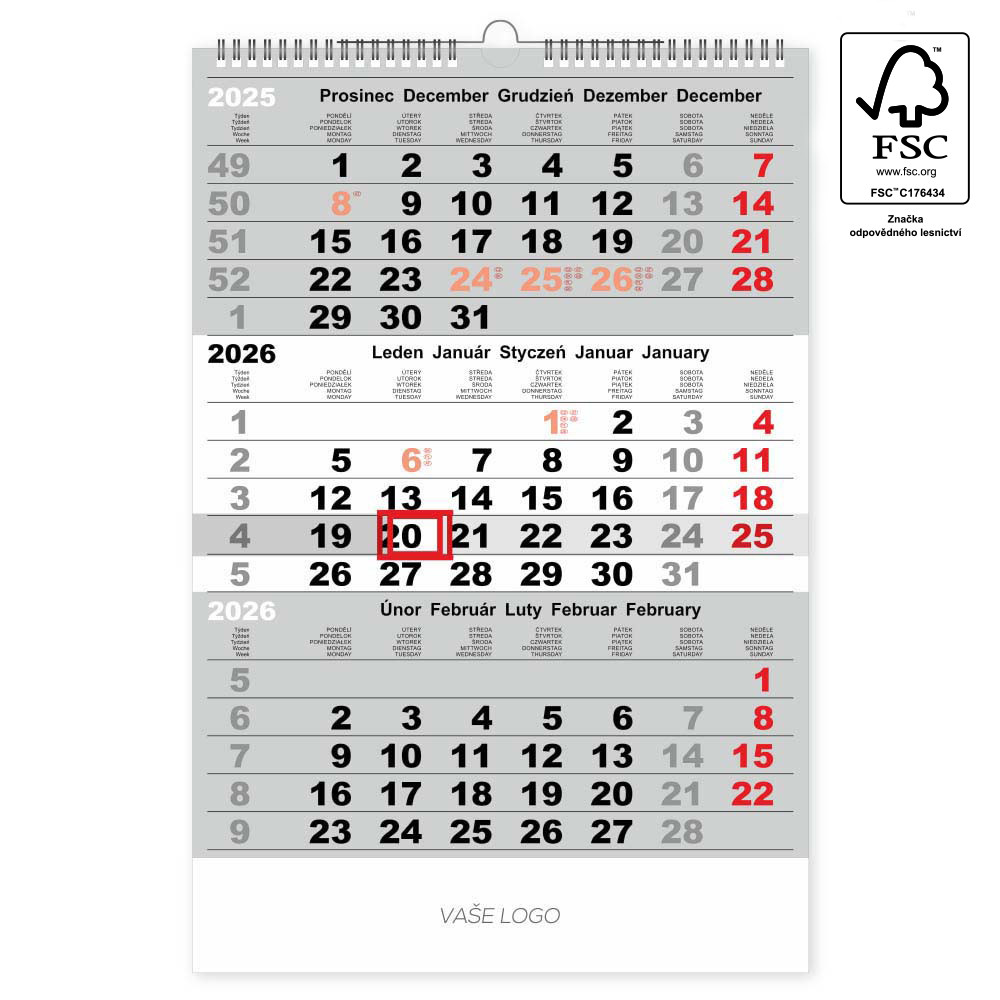 3MĚSÍČNÍ STANDARD.jpeg